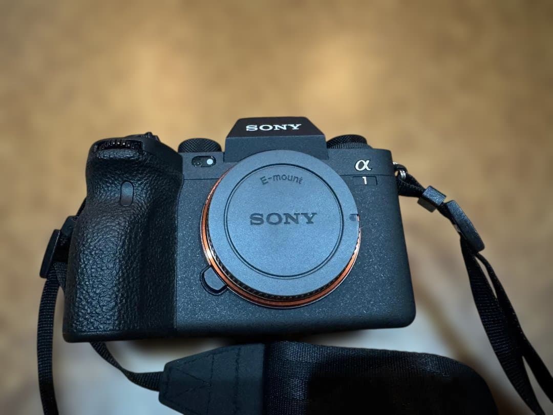 SONY α1 (ILCE-1) ボディ ミラーレス 一眼レフ カメラ