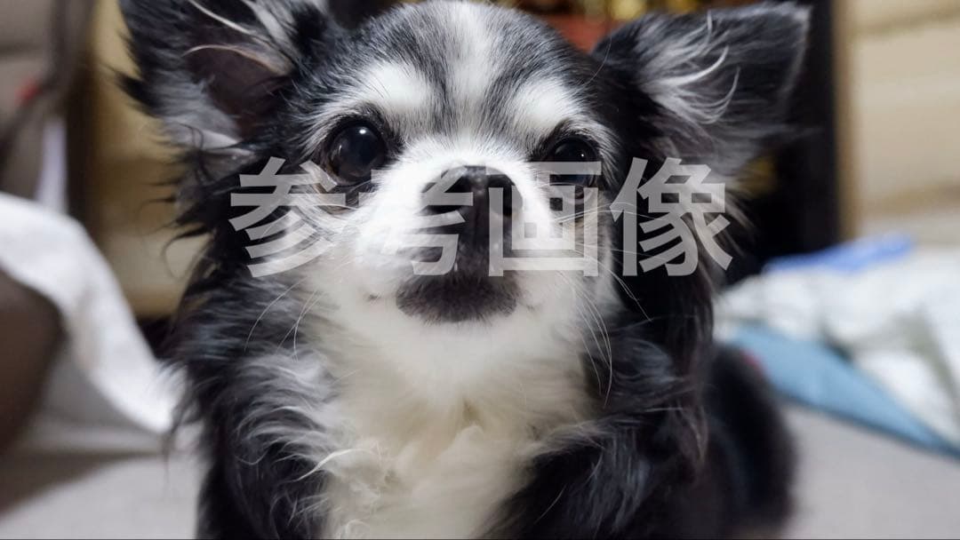 FUJIFILM X-T100 レンズセット