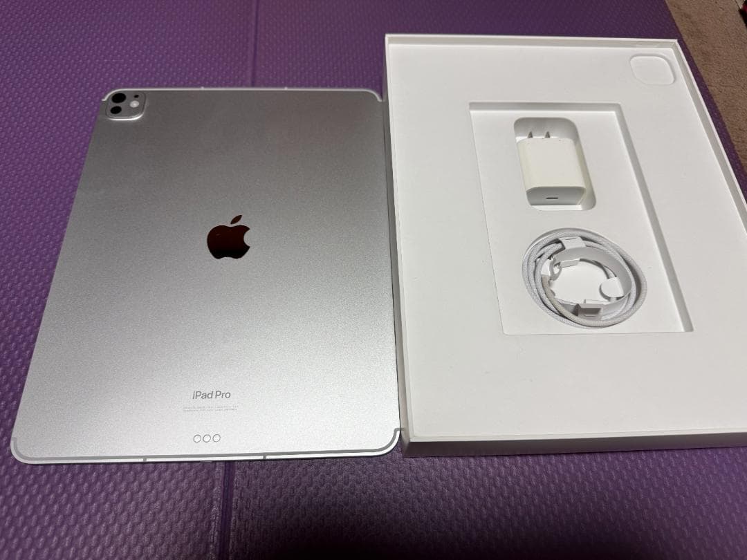 美品 Apple iPad Pro 256㎇ M4 Cellular 13インチ