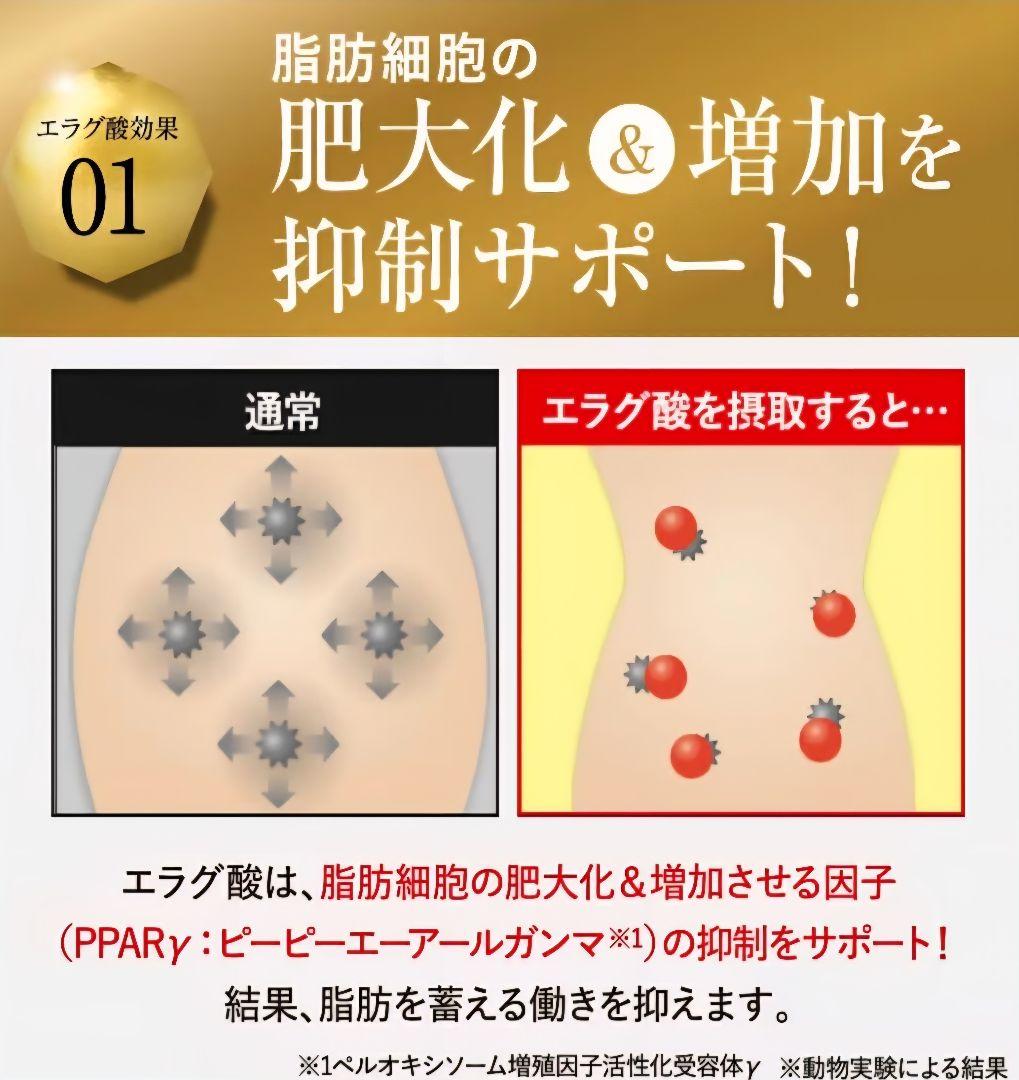 KILLER BURNERII ダイエットサプリ 90粒×2袋