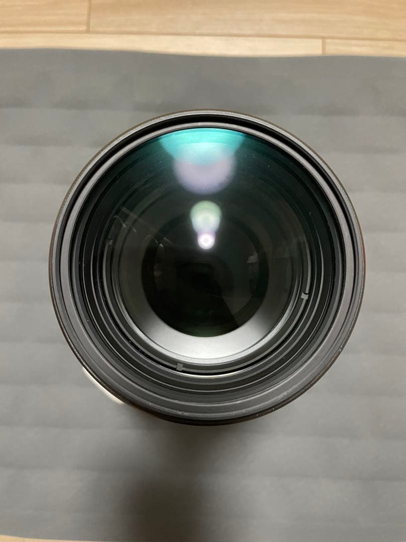 【ボボ】SONY FE70-200mm F2.8GM OSS