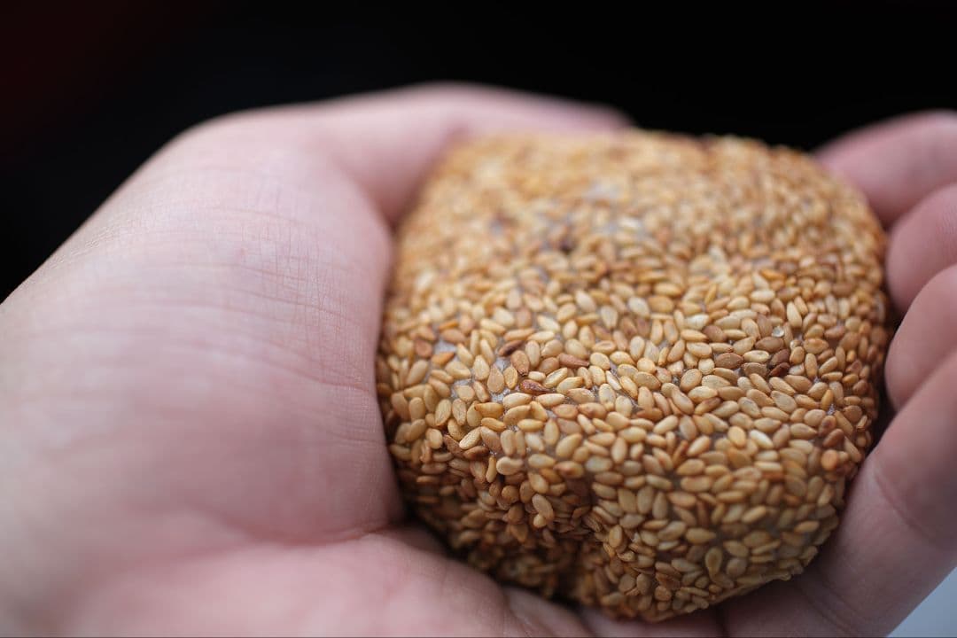 【実写例有】Carl Zeiss Makro-Planar 50mm zf.2