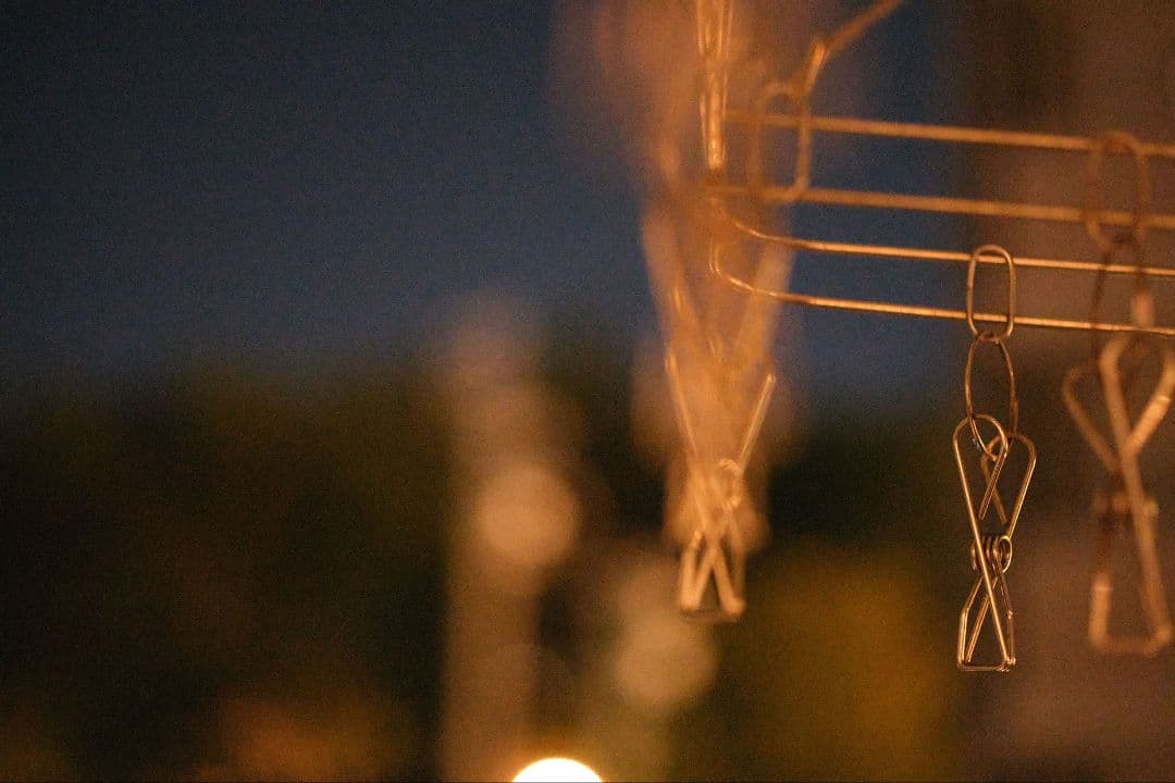 【実写例有】Carl Zeiss Makro-Planar 50mm zf.2