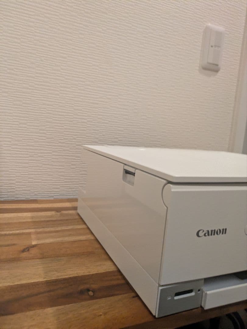Canon PIXUS TS8430 印刷枚数 280枚 N8025