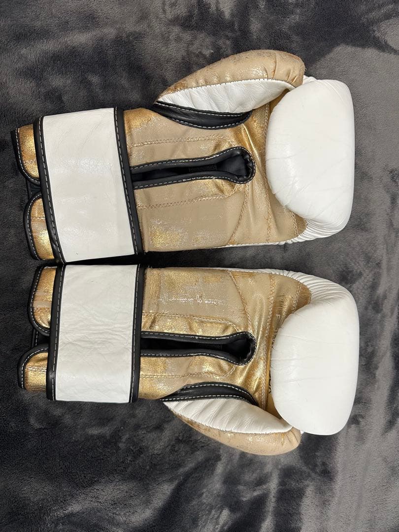 ボクシング EverlastPowerlock Boxing Gloves