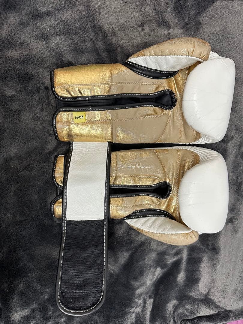 ボクシング EverlastPowerlock Boxing Gloves