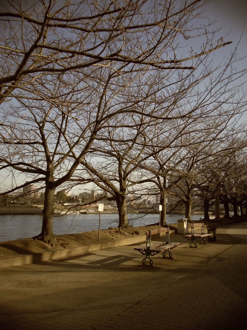 【作例あり】Kodak EasyShare M532