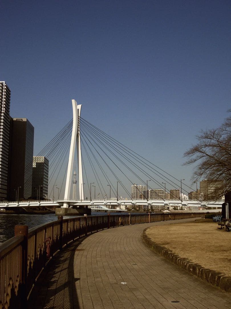 【作例あり】Kodak EasyShare M532