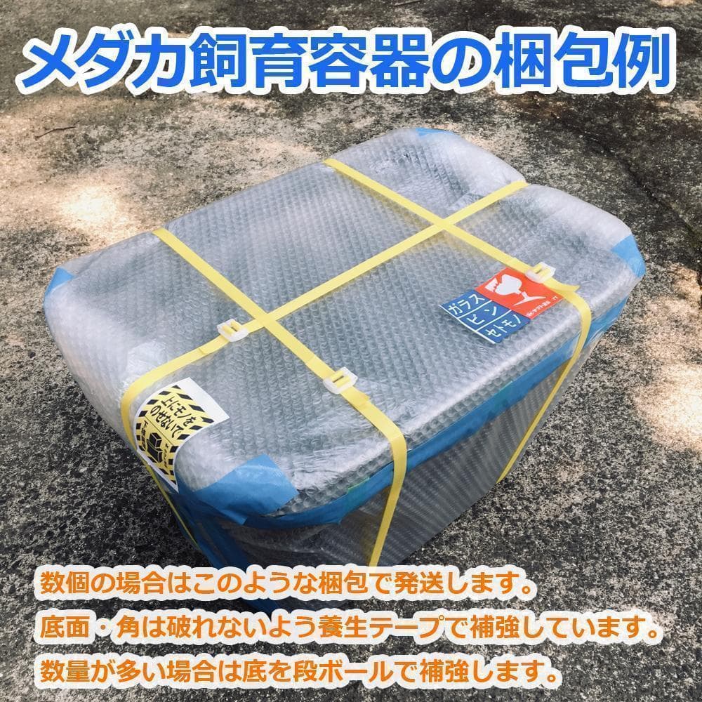 【新仕様】メダカ飼育ケース 36㍑x4個（4色あり）オーバーフロー対策済 金魚