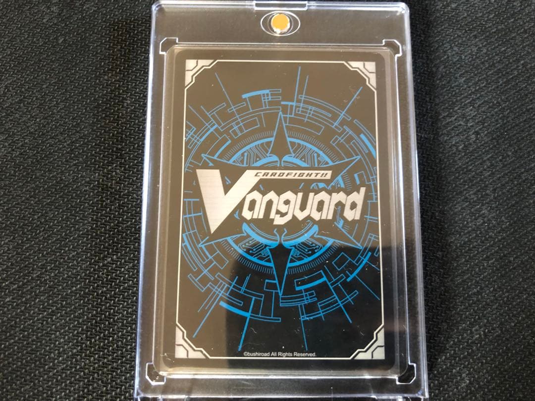 スノウスキップ パルヴィ TRG+