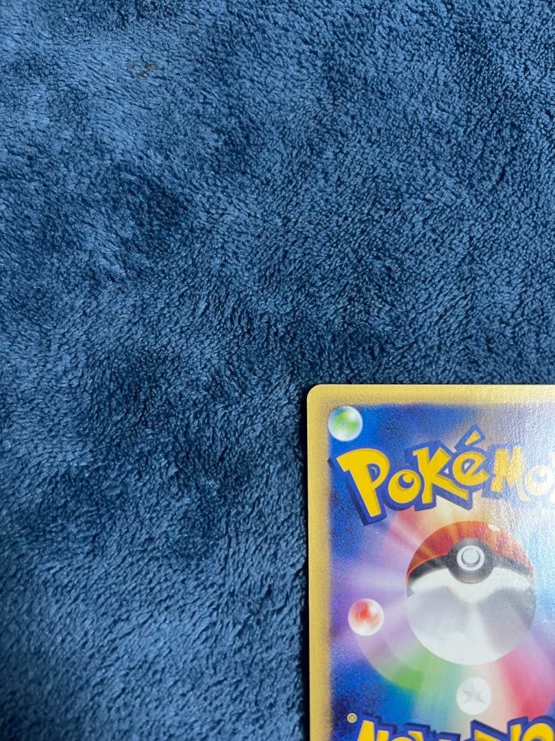 ゼニガメ スターターパック 24時間以内発送 引退品