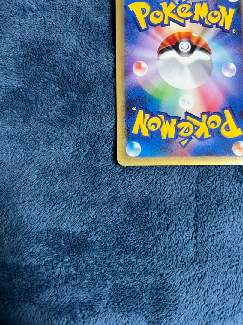 ゼニガメ スターターパック 24時間以内発送 引退品