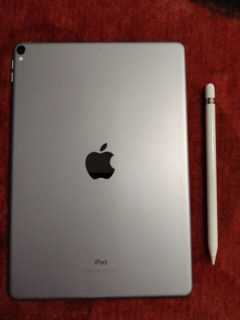 大*風様 iPad Pro スペースグレー 本体 + Apple Pencil