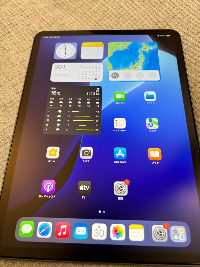 iPad Pro 11インチ(第2世代)スペースグレー 256GB