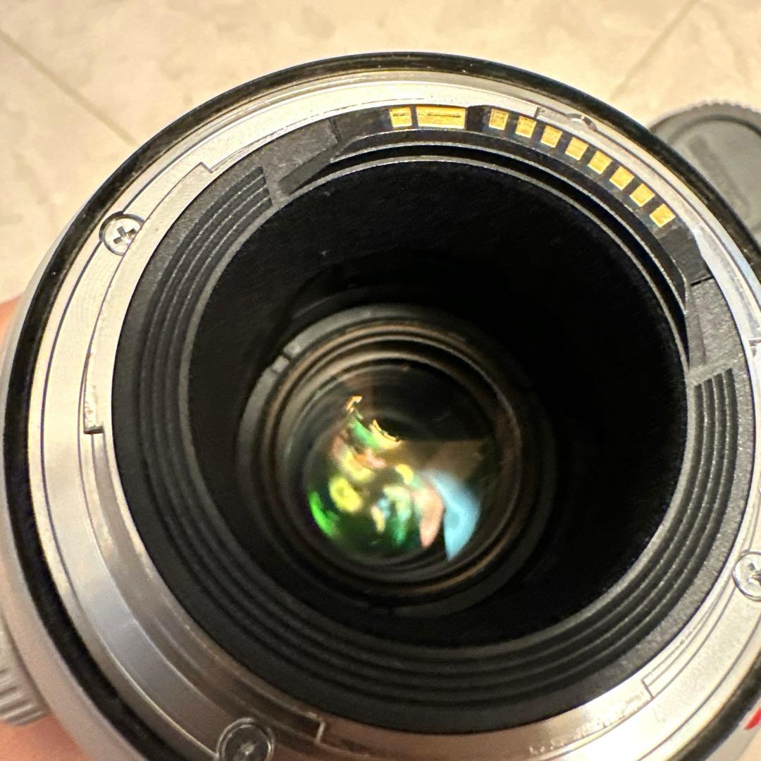 キャノンCanon EF100-400mmF4.5-5.6L IS II USM