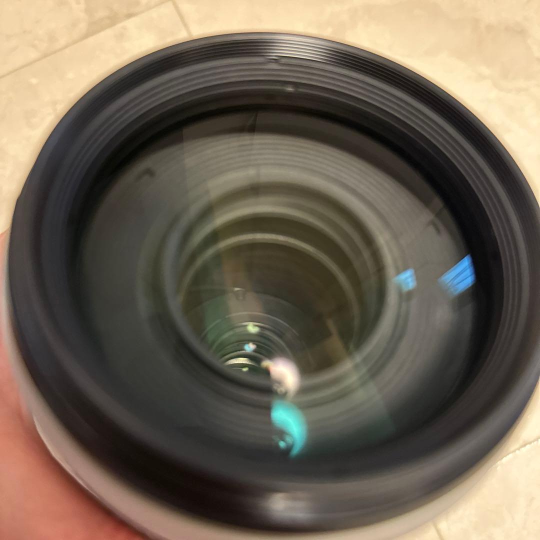 キャノンCanon EF100-400mmF4.5-5.6L IS II USM