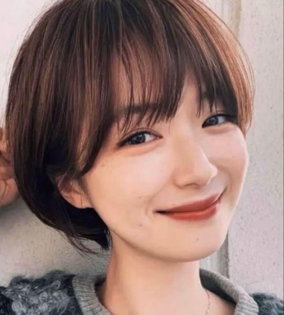 ☆気品人毛100% ショートwig ウィッグBZ20