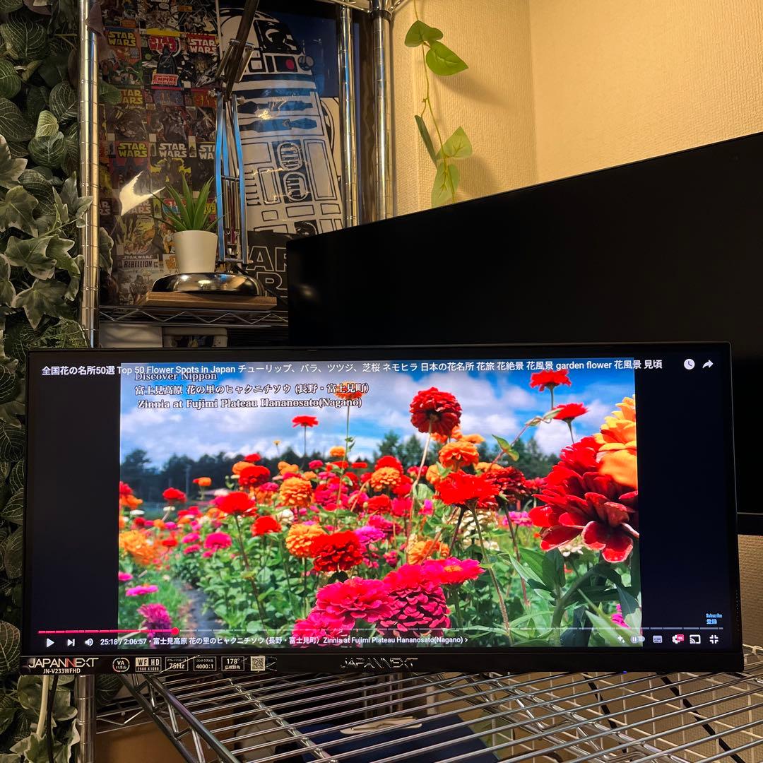 23.3インチ モニター WFHD VA ディスプレイ JN-V233WFHD