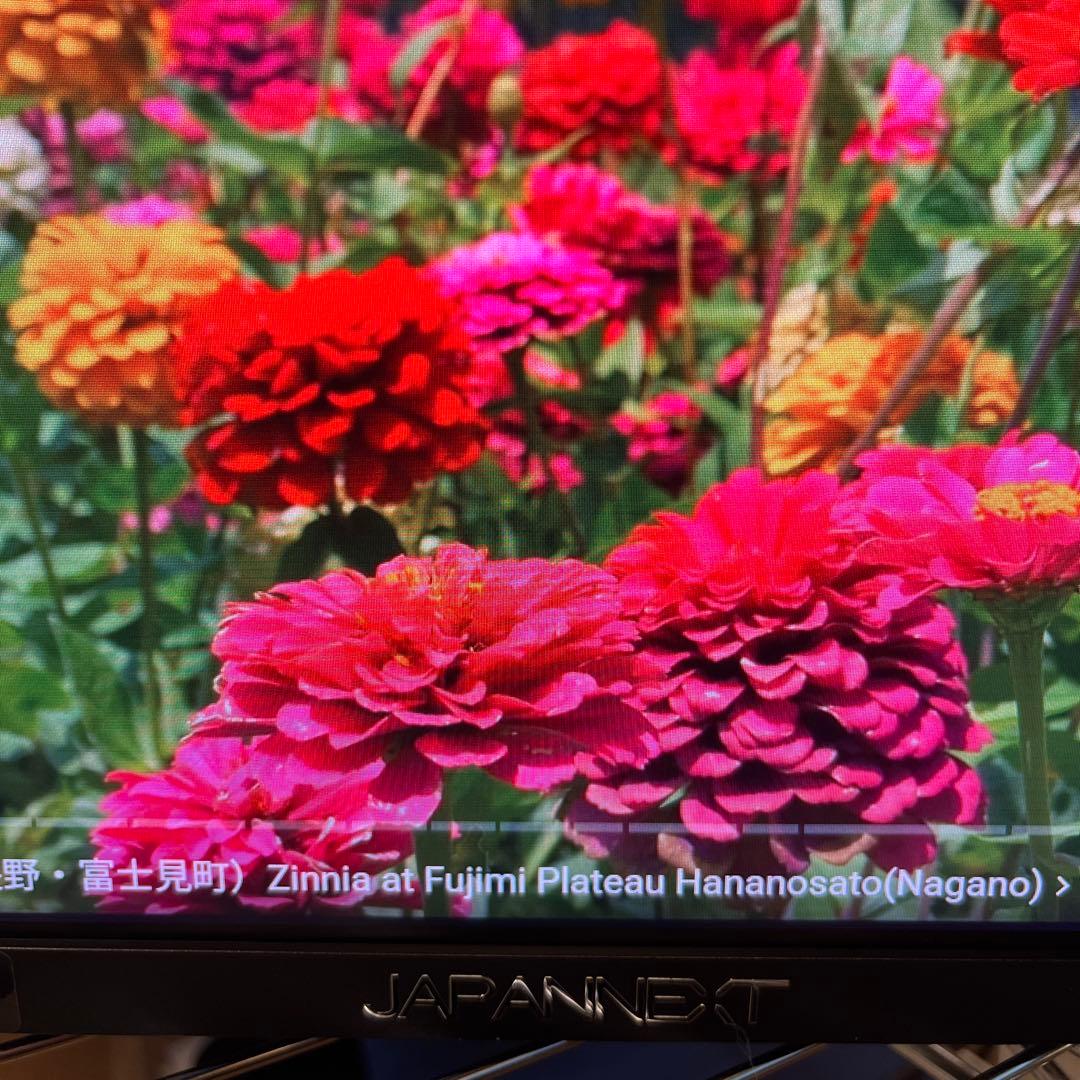 23.3インチ モニター WFHD VA ディスプレイ JN-V233WFHD