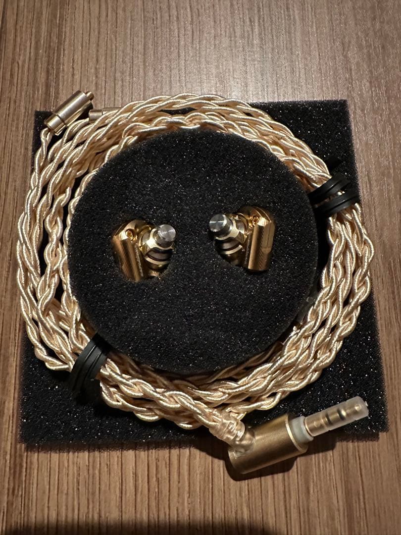 t*a様 acoustune HS1695TI 有線イヤホン 予備ケーブル2本付