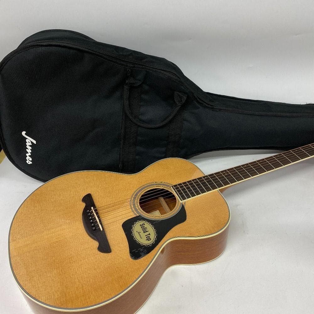 ジェームス JF400 NAT アコースティックギター アコギ ソフトケース