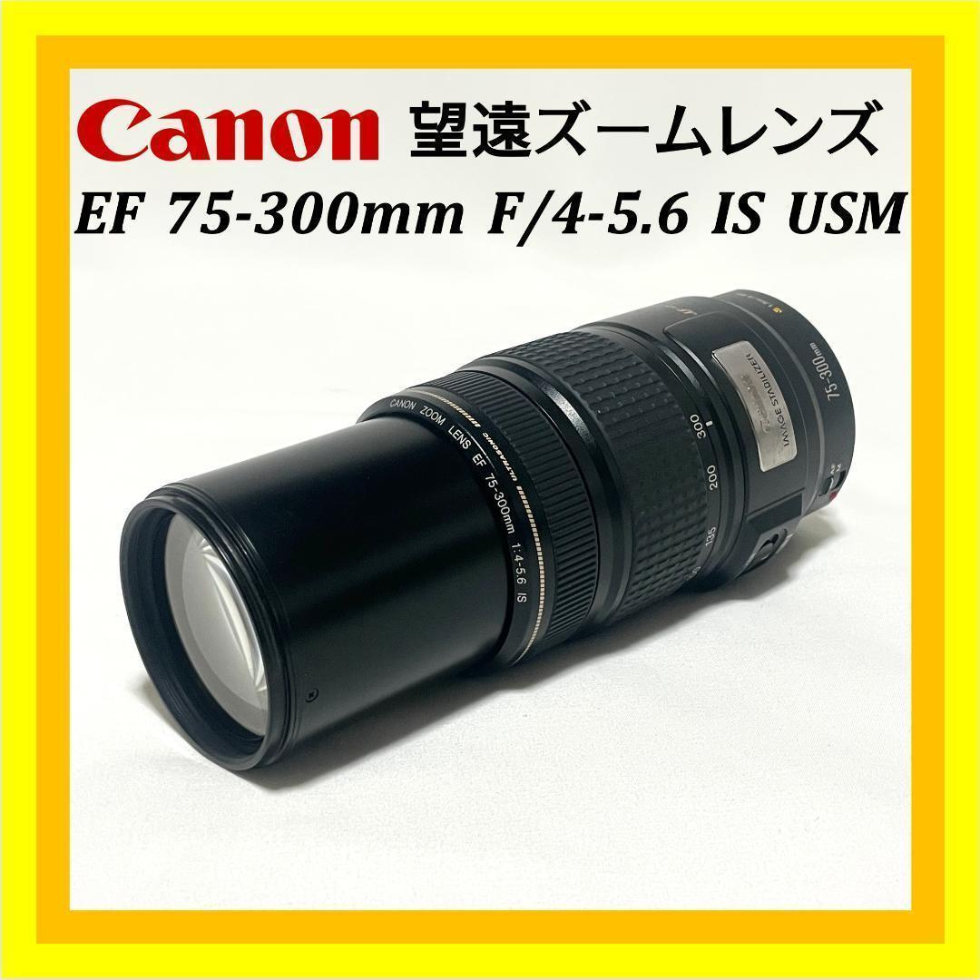 大人気モデル❣️ Canon EF 75-300mm IS USM 高速AF