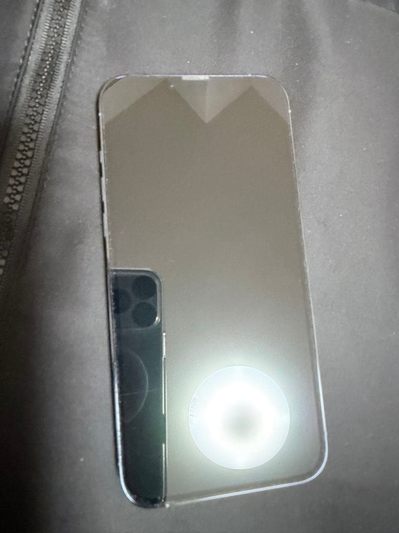 Apple iPhone 13Pro maxシエラブルー（超美品）