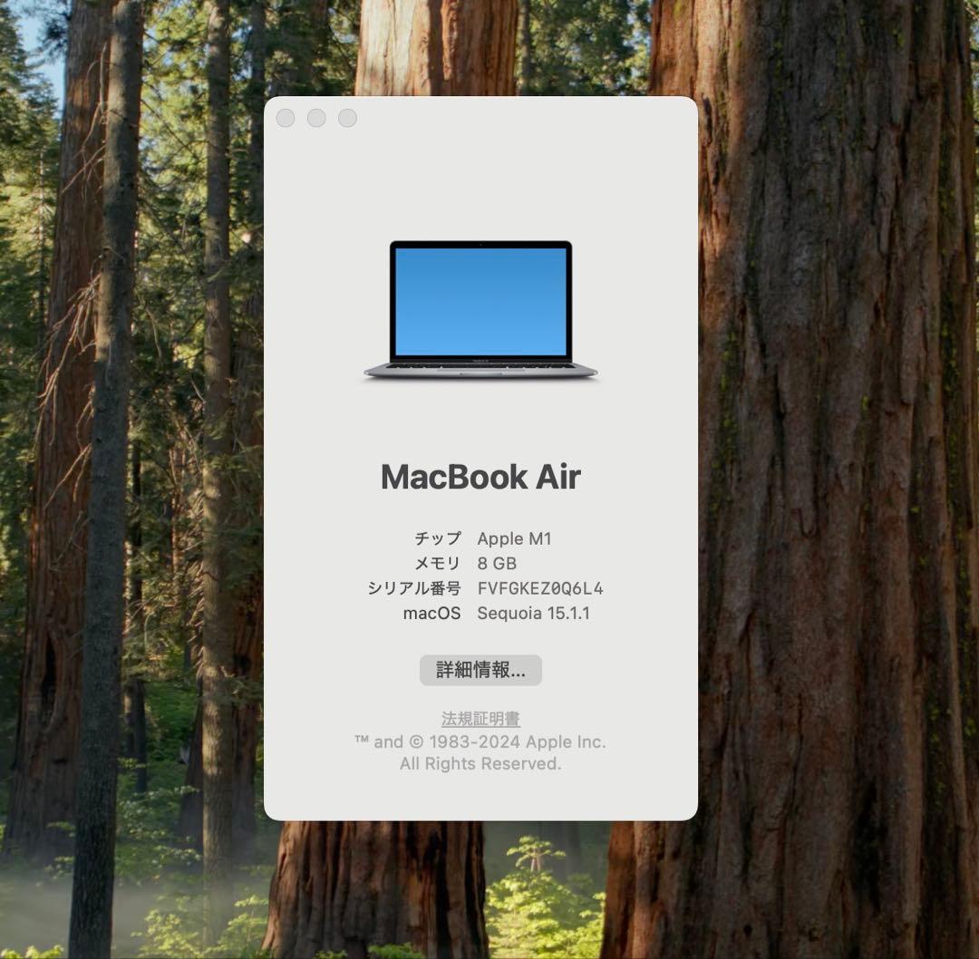 ※さくら様限定　MacBook air M1 13インチ 8GB 256GB