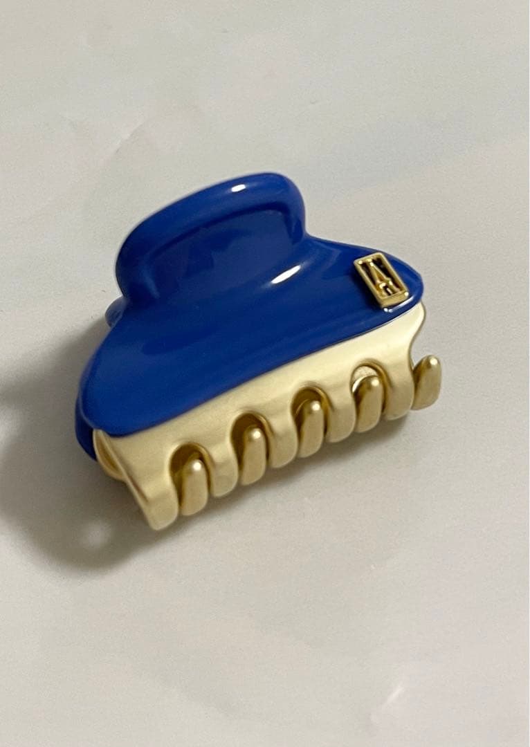 アレクサンドルドゥパリ　クリップ 1個