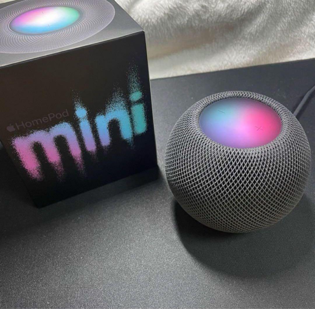 APPLE pod mini スペースグレイ GRAY