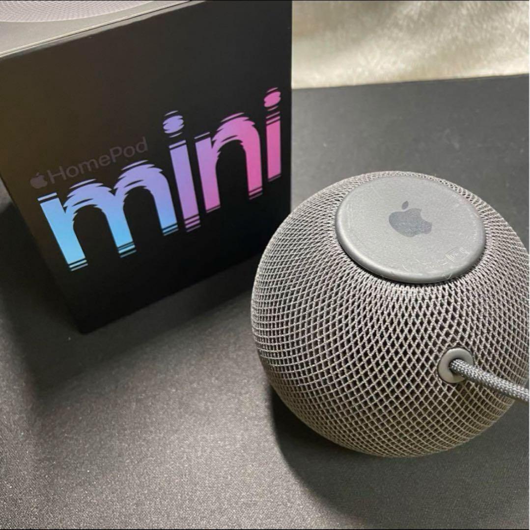 APPLE pod mini スペースグレイ GRAY