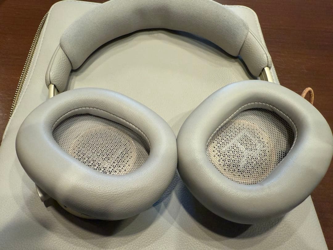 Bang ＆ Olufsen Beoplay H100