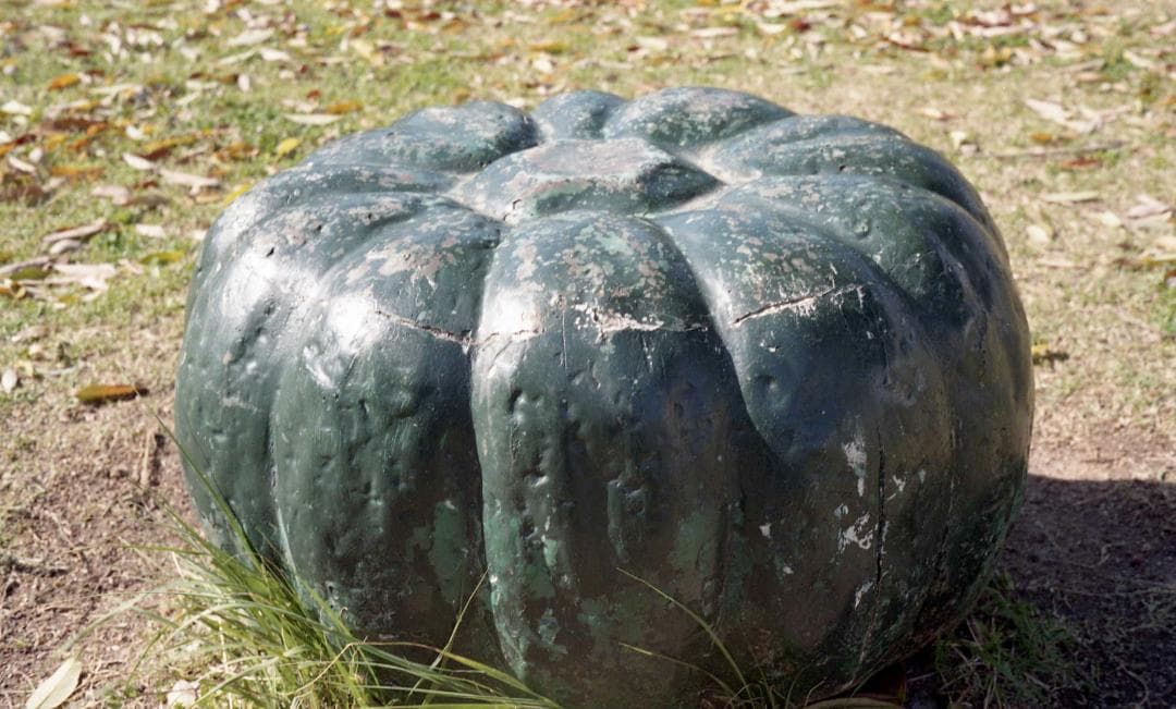 ま*様 めちゃカワイイ！コダックシグネット35　希少純正ケース付き　動作確認・試