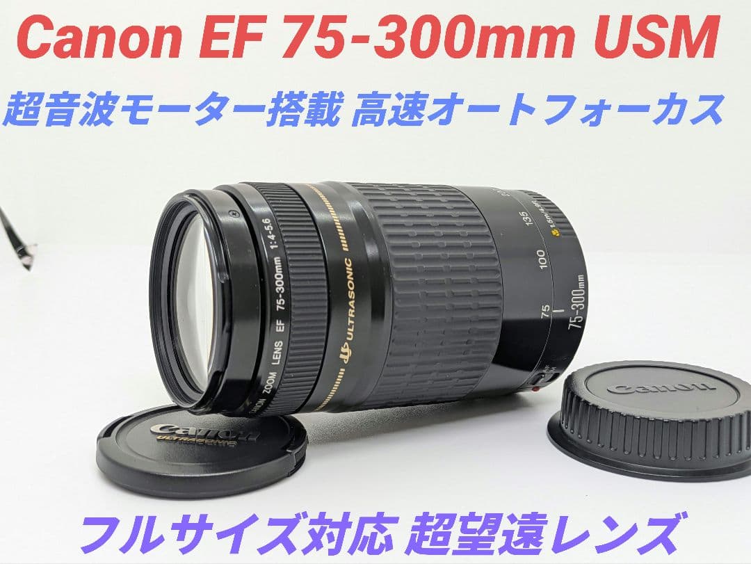 1月23日限定価格【超望遠レンズ】Canon EF 75-300mm USM