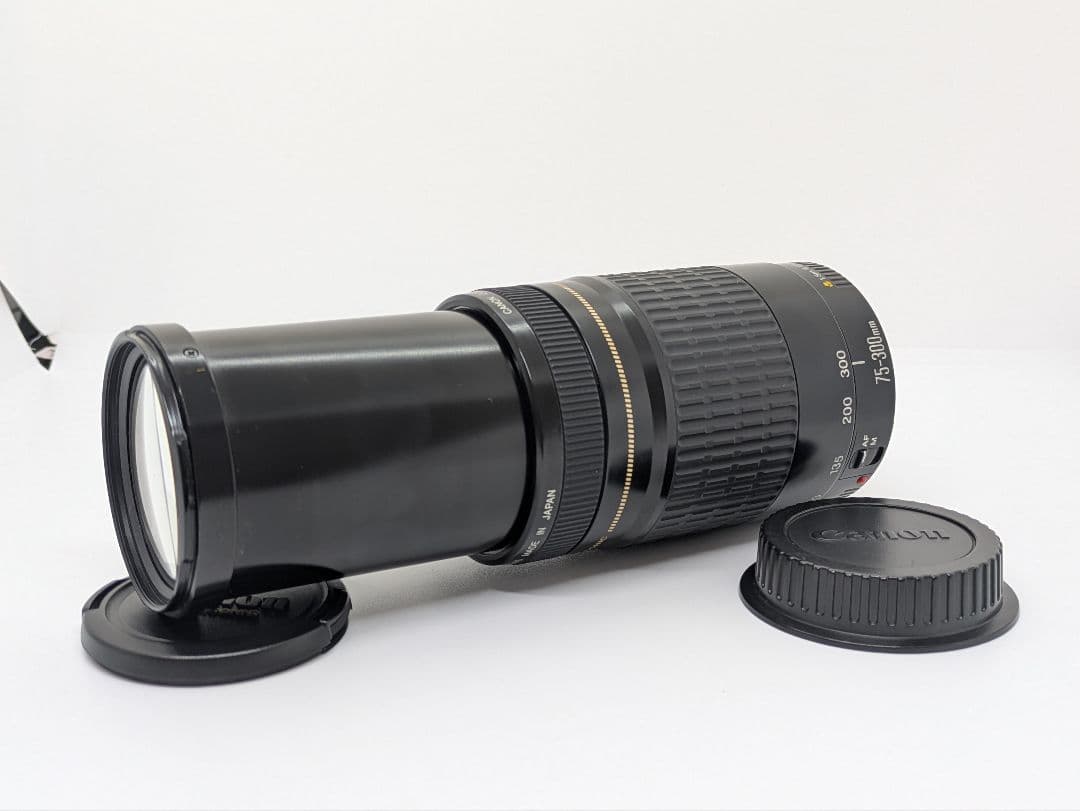 1月23日限定価格【超望遠レンズ】Canon EF 75-300mm USM