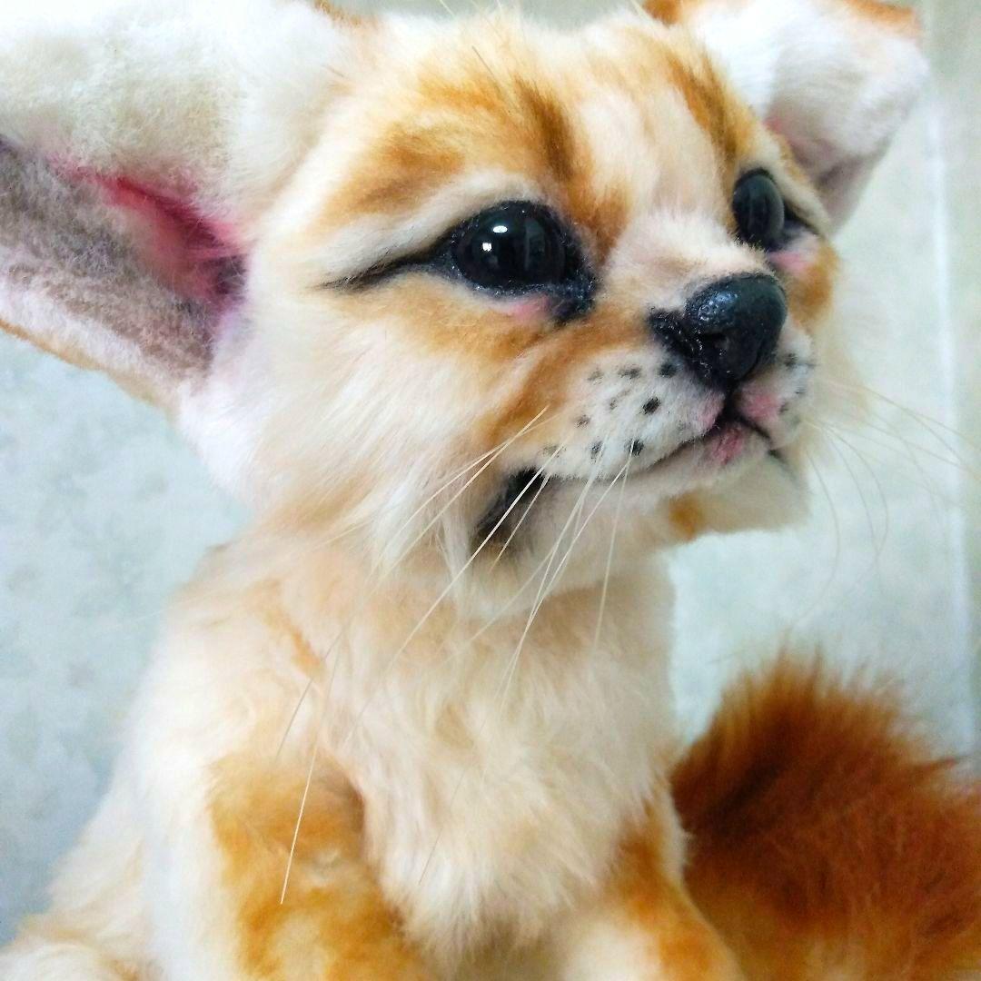 うずら　作家　アートドール　ぬいぐるみ　 フェネック