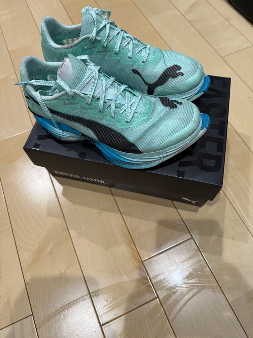 FAST-R NITRO ELITE 3 メンズ25.0cm