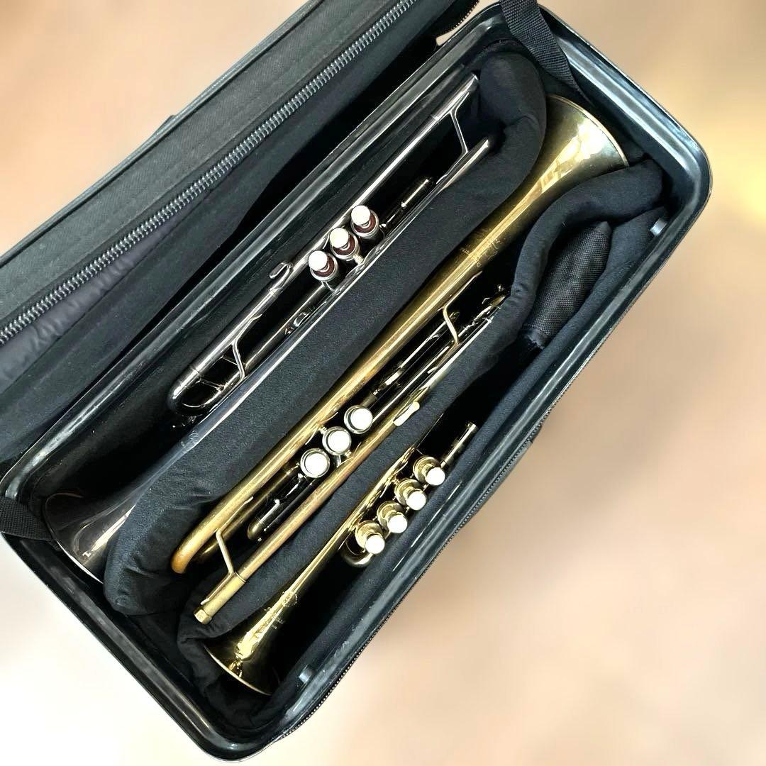 トランペットケース WolfPack 2.5本 コスタリカ製