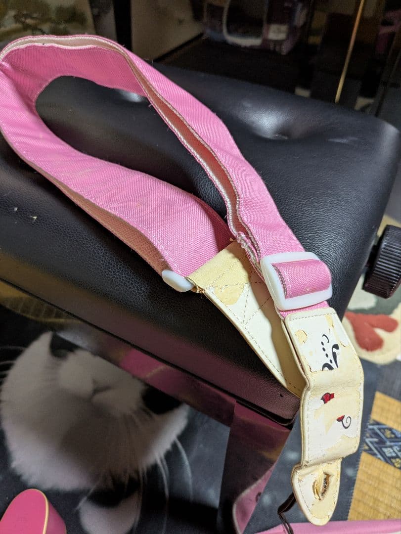 ジプシーローズ　Gypsy Rose ピンクアコースティックギター　ラメ入り