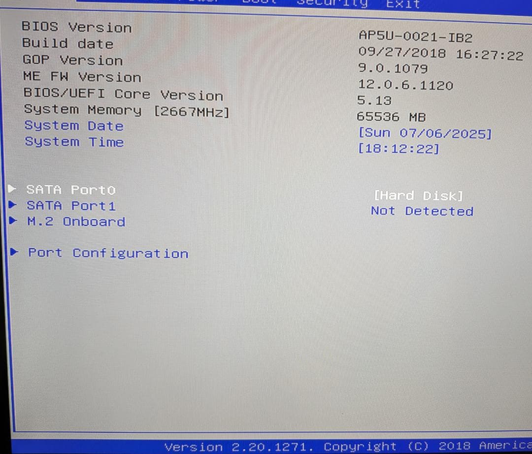 P*o様 Endeavor EPSON ST190E (i5, メモリ64GB)