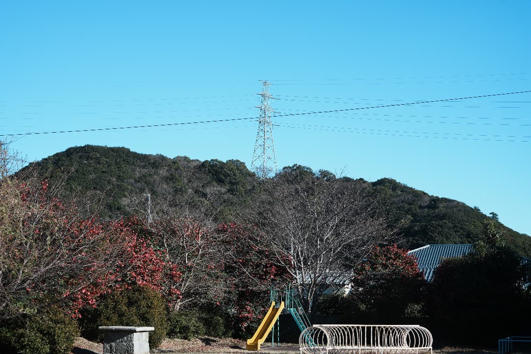 希少 pentax Auto Takumar 55mm f1.8 ゼブラ 989