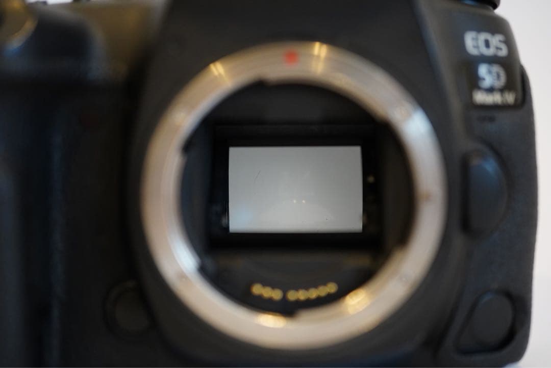 Canon EOS 5D Mark IV デジタル一眼レフ