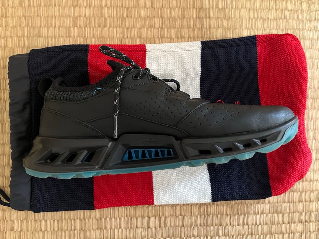 エコー（ECCO）BIOM C4 ゴルフシューズ