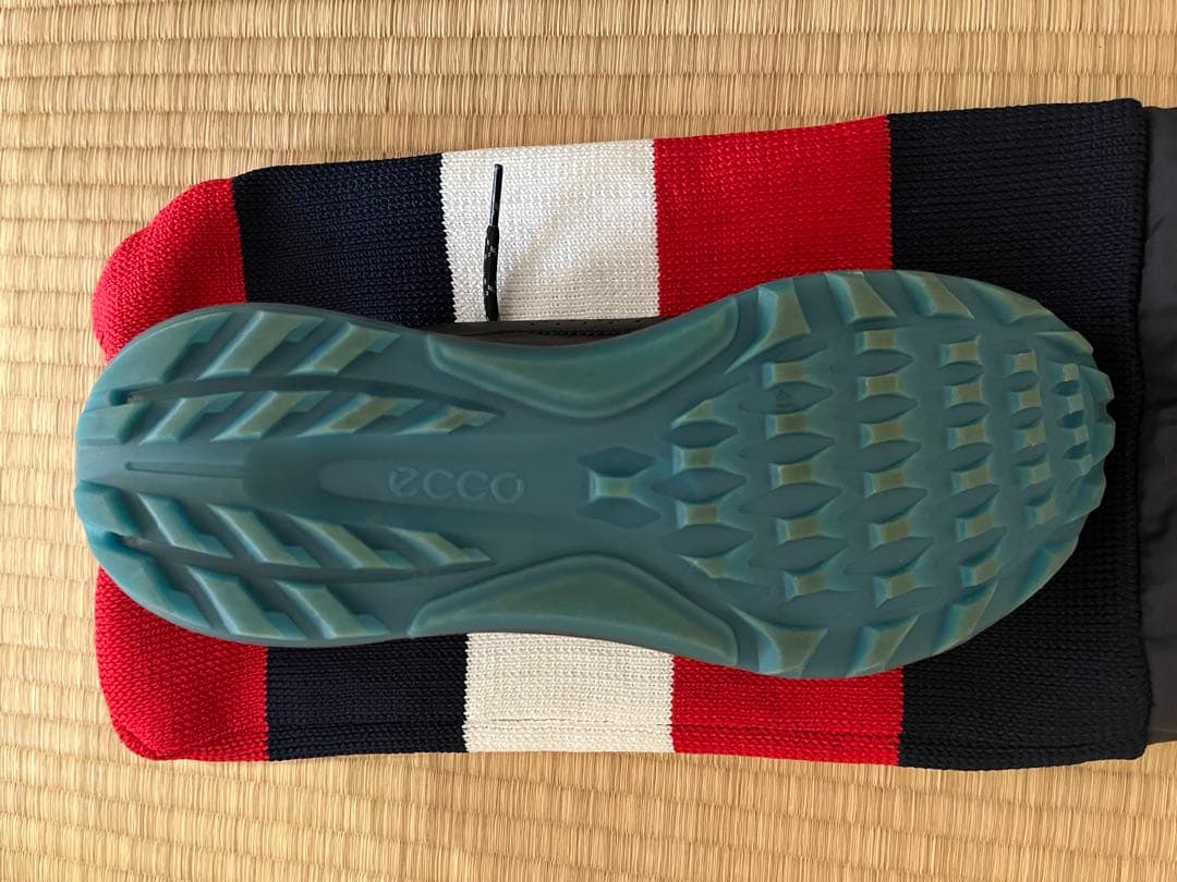 エコー（ECCO）BIOM C4 ゴルフシューズ