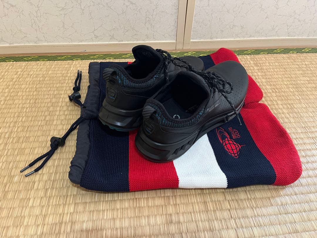 エコー（ECCO）BIOM C4 ゴルフシューズ