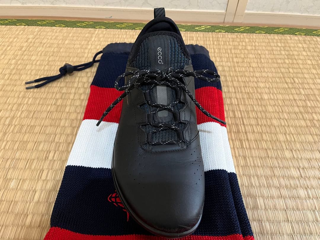 エコー（ECCO）BIOM C4 ゴルフシューズ