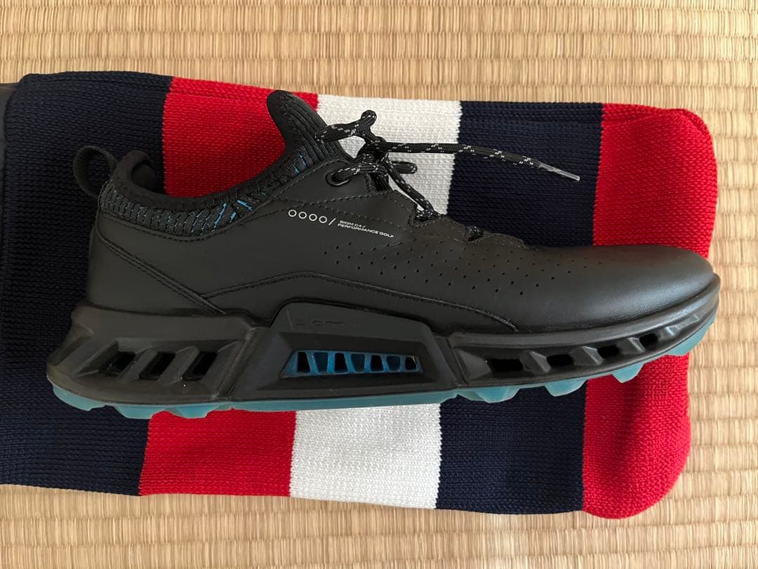 エコー（ECCO）BIOM C4 ゴルフシューズ