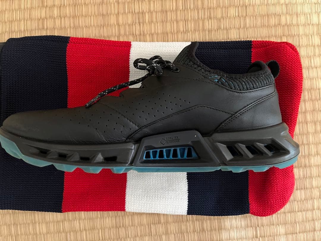 エコー（ECCO）BIOM C4 ゴルフシューズ