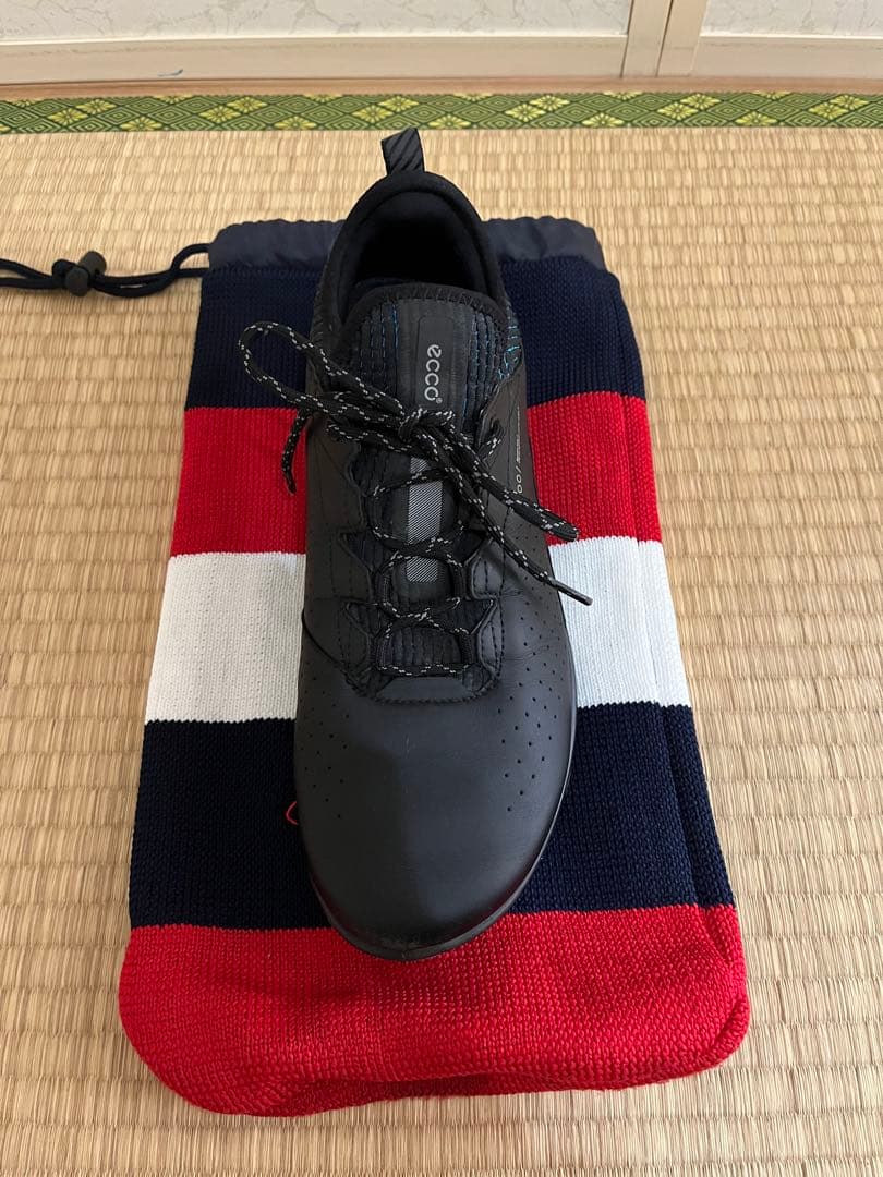 エコー（ECCO）BIOM C4 ゴルフシューズ