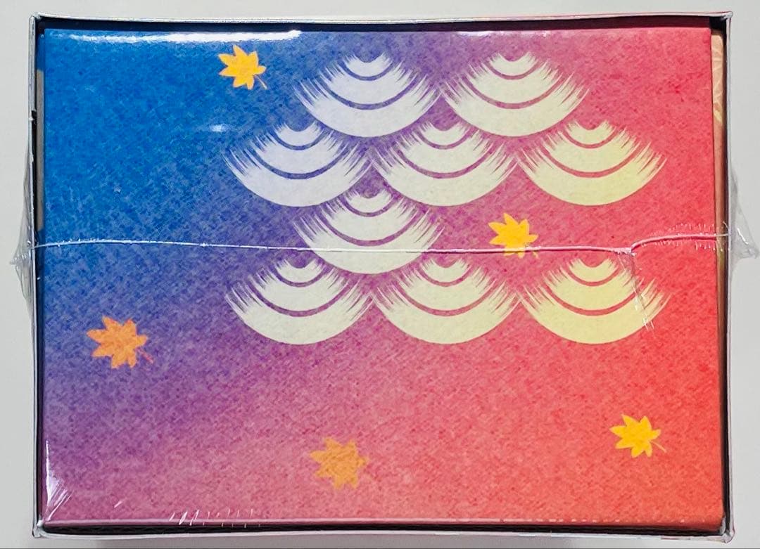 【新品シュリンク付き】ポケモンセンター ヒロシマスペシャルBOX